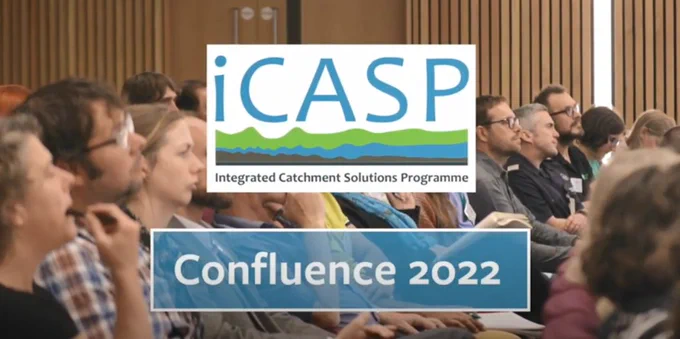 Delegates in conference hall