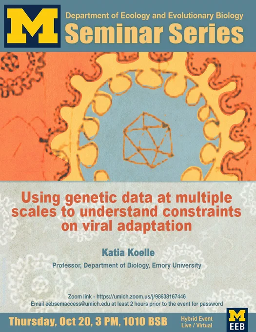 Poster for Department of Ecology and Evolutionary Biology Seminar Series. Block M. Using genetic data at multiple scales to understand constraints on viral adaptation. Katia Koelle, Professor, Department of Biology, Emory University. Zoom link email eebsemaccess@umich.edu at least 2 hours prior for passcode. Thursday, Oct 20 3pm, 1010 BSB. Hybrid event. Live/virtual. Block M EEB. Drawing of virus cells
