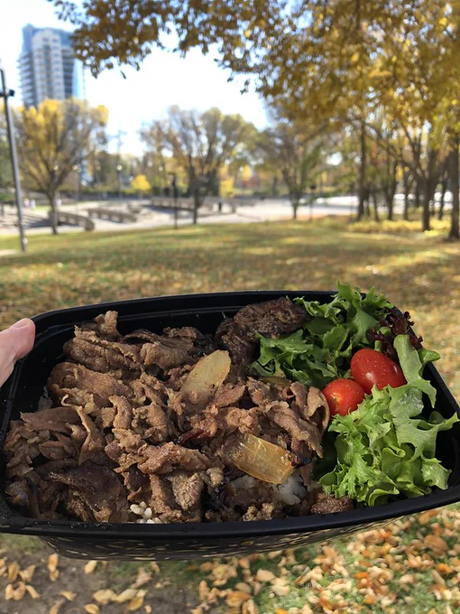 Container of bulgogi on rice with salad from Dosi Rock.