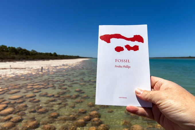 hand holding a white book with three red blobs and the words Fossil Perdita Phillips on it in front of the thrombolites at Lake Clifton which look like brown blobs in shallow water