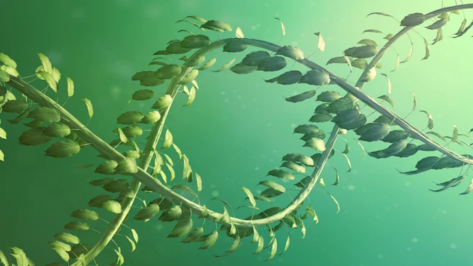 Green plant picture