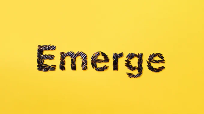 The word "Emerge" made up of grains of wild rice, against a gold background.