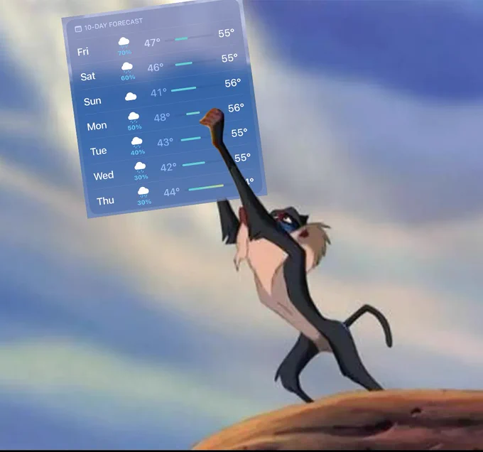 Rafiki hoists a 7-day weather forecast to the heavens from Pride Rock. The forecast calls for cool temperatures and rain. The people of Washington state celebrate by cawing, screeching, and trumpeting from their trunks. Their natural habitat is soon to be restored.