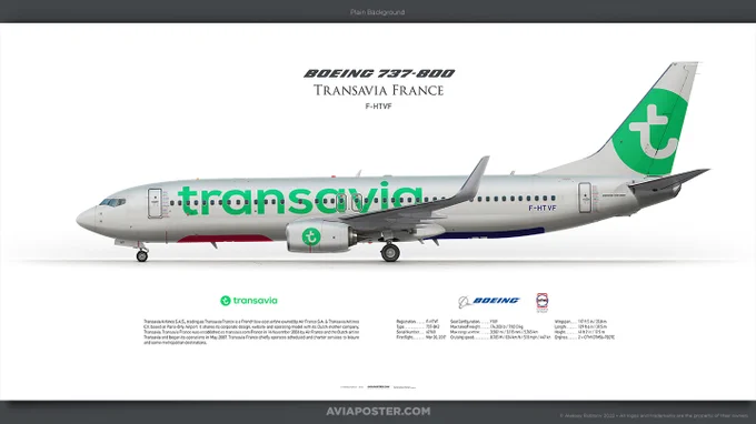 Poster for Aviators.
Plain background.
Available prints sizes:
Size Panorama (914 × 305 mm / 36" × 12");
Size Standard (610 × 305 mm / 24" × 12").