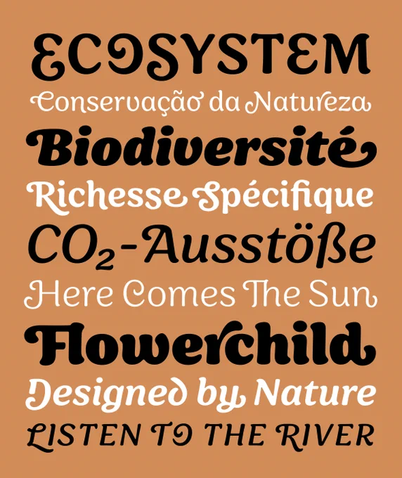 Specimen for the typeface Sirenia by Felix Braden (Floodfonts, 2022), showing the range of styles from Thin to Black, in roman and italic styles, as well as some of the many swash alternates