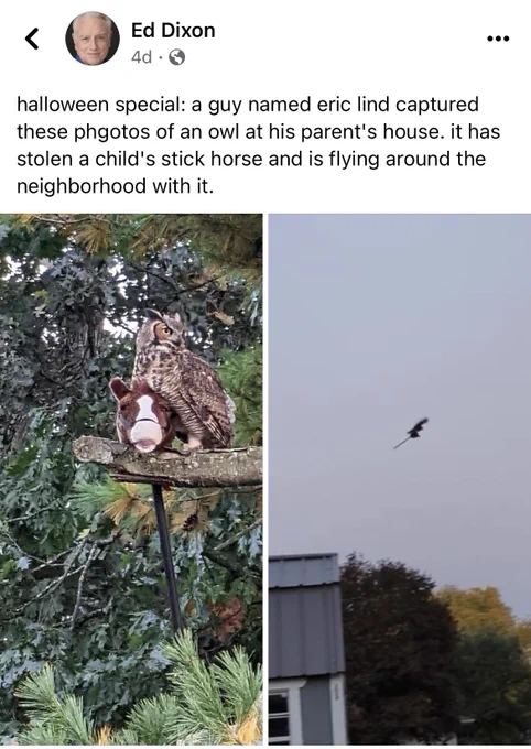 A screenshot of a Facebook post with two photos: one of a great horned owl perched while holding a stick horse, and a photo of the same owl flying in the air with the stick horse. 

The post caption says: halloween special: a guy named eric lind captured these phgotos of an owl at his parent's house. it has stolen a child's stick horse and is flying around the neighborhood with it.