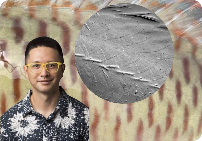 photo of Dylan with a background showing a yellow and brown stripped fish and an image of scales under the microscope