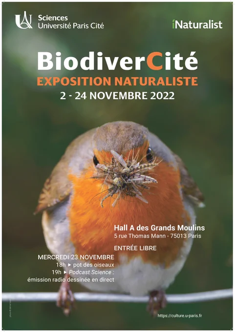 Affiche Exposition BiodiverCité représentant un rouge-gorge au bec rempli de chironomes. Du 2 au 24/11/22, Hall A des Grands moulins 5 Rue Thomas Mann 75013 Paris