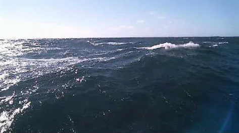 Webcam shot from buoy 44027 showing rough seas