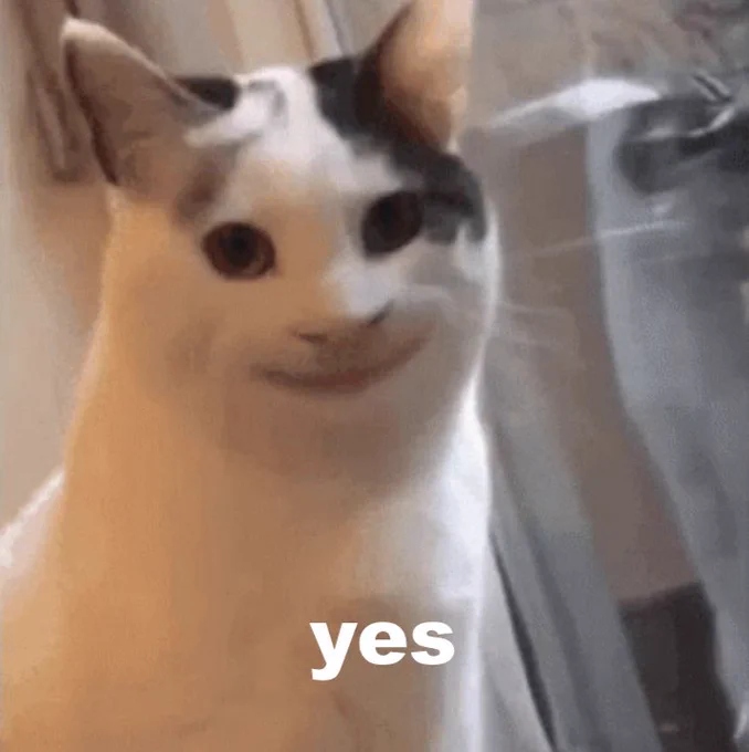 Meme of a cat smiling that says, “yes.”
