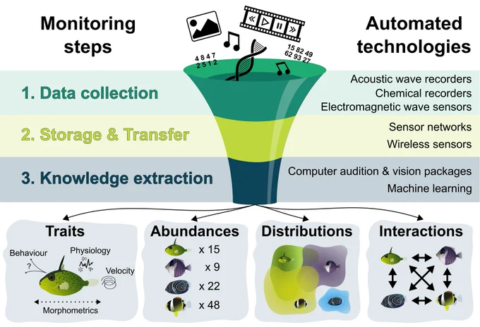 The automation pipeline to monitor ecological communities, from data collection to knowledge extraction