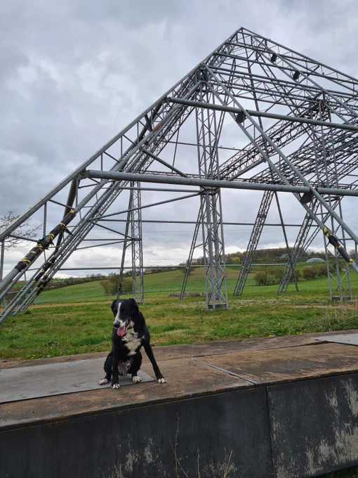 Haku on the pyramid stage at Glasto