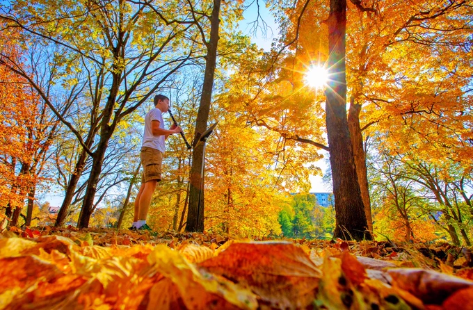 A music student plays the clarinet under a canopy of golden leaves.