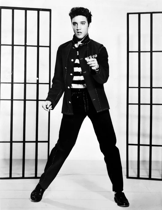 A picture of the famous singer, Elvis Presley