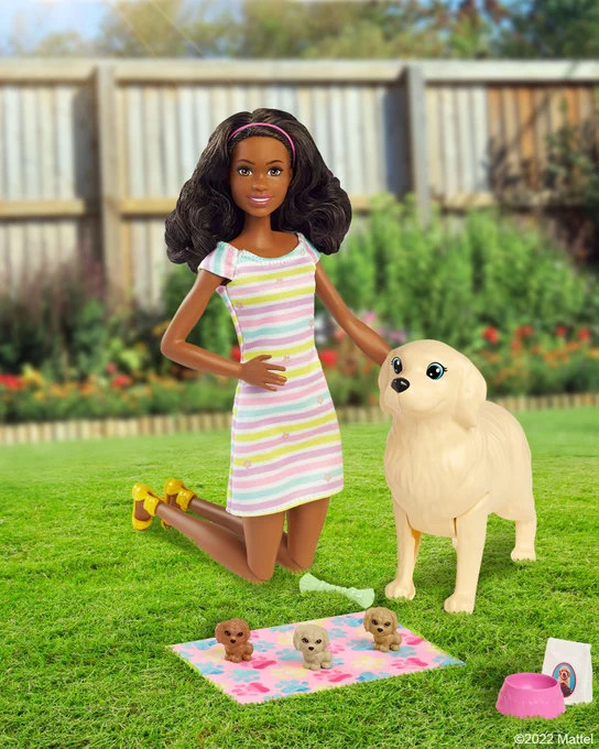 Image contains: Grass, Plant, Toy