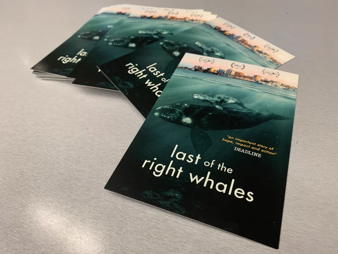 Last of the right whales movie poster