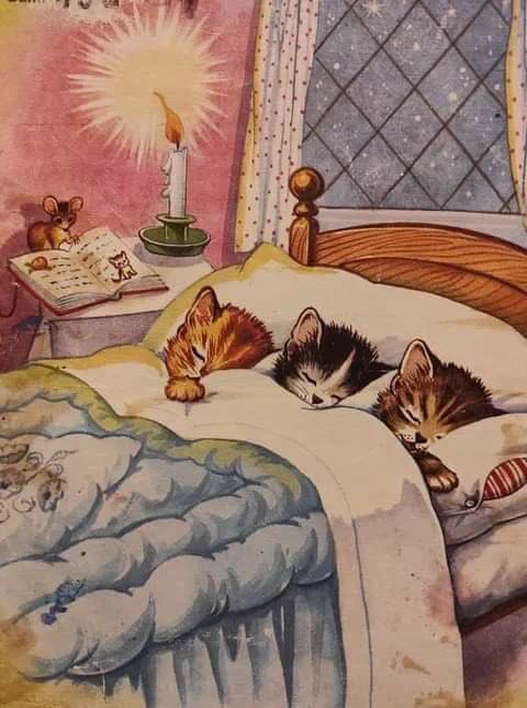 üç yavru kedi yatakta yan yana uyuyor