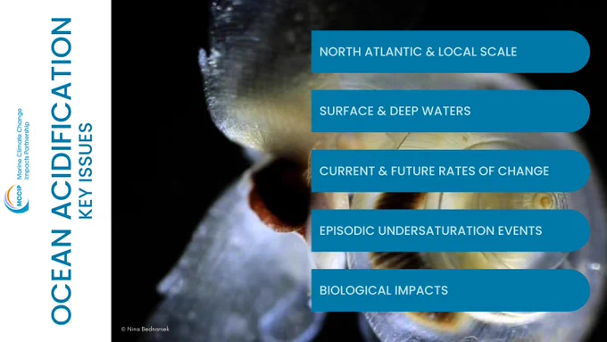 MCCIP ocean acidification key issues