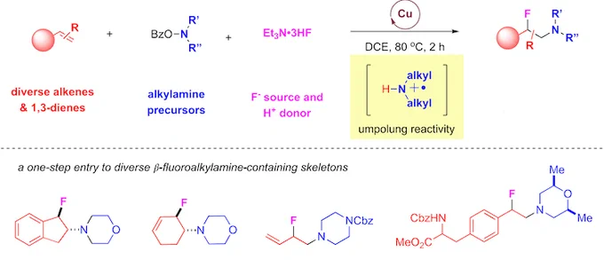NHCs_NHeterocyclicCarbenes_amino_fluorination_dienes_copper_NHCs_Wang_JACS_2022