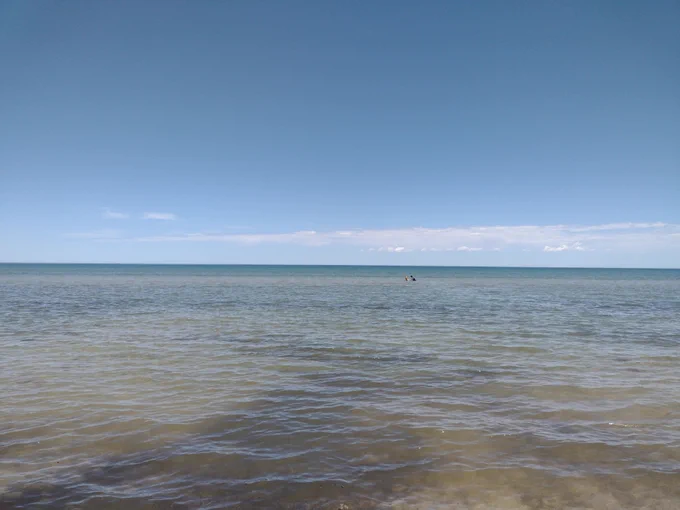 A photo of the sea and blue sky. Panko the golden retriever is way off in the distance, sitting on a sandbar with his owner