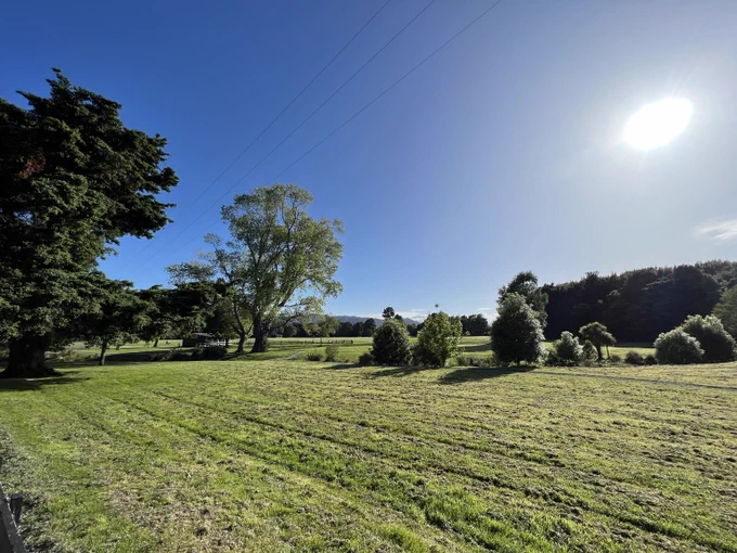 A view over a park with azure blue sky and sunshine