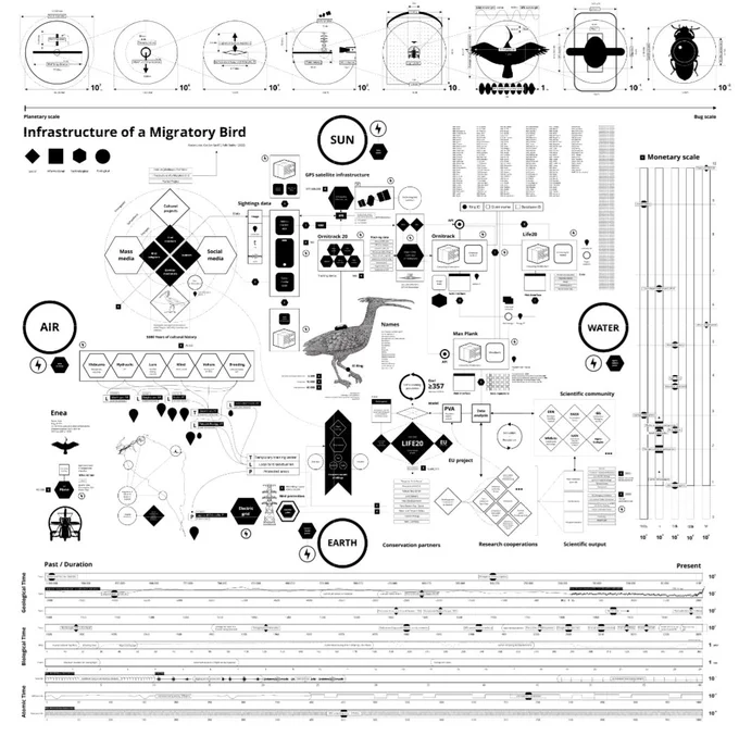 Infrastructure of a Migratory Bird: A map