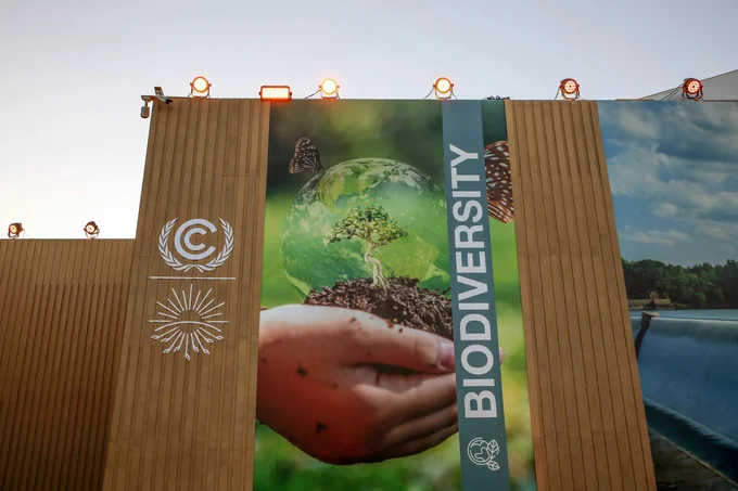 Photo from the Sharm El-Sheikh Climate Change Conference by IISD