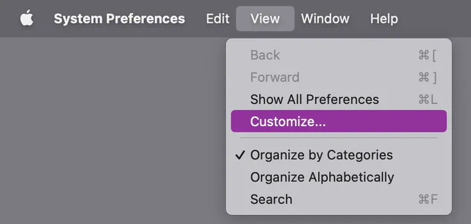 System Preferences, View menu, Customize...