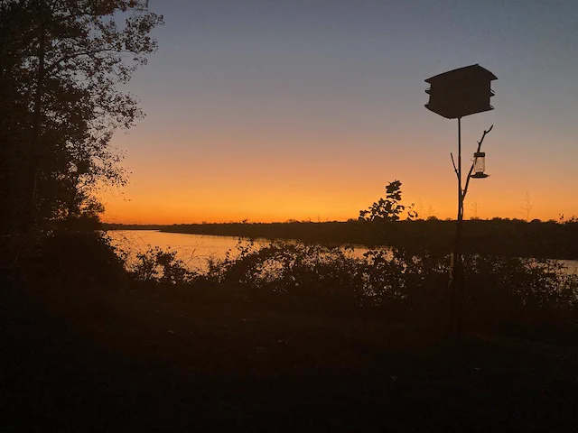 Delta sunset viewed from the banks of Desoto Lake in Rena Lara, Mississippi, USA, includes bird feeders on high pole and shrubbery in front of the lake with view of some land and the orange and blue sky in the distance.