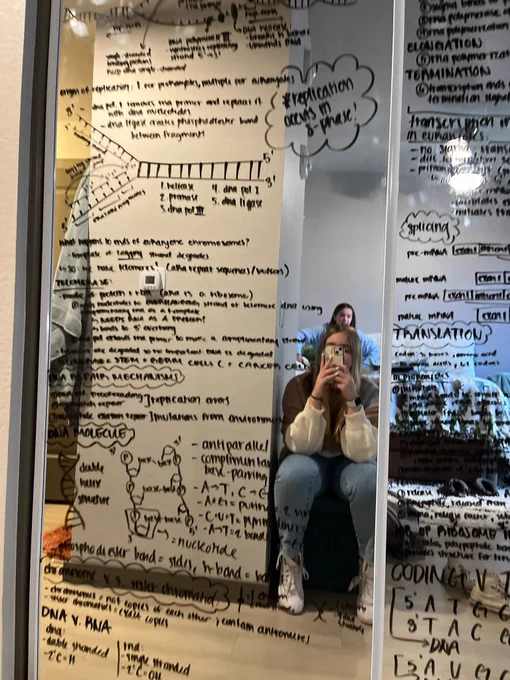 College roommates using glass closet doors to take notes with dry erase markers.