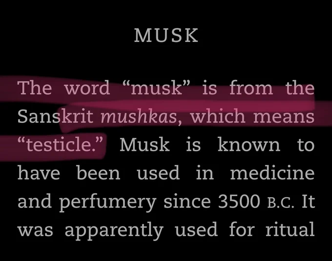 book excerpt from “fragrant” by mandy aftel:
the word “musk” is from the sanskrit “mushkas,” which means testicles.