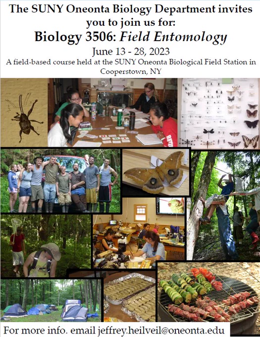 Flier for BIOL3506: Field entomology, showing students collecting insects in the field and relaxing, insects from central NY, and food.  The class will be June 13 to 28, 2023. People wanting more information can email Jeffrey.Heilveil@oneonta.edu.