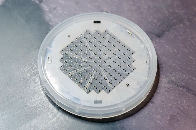 Quantum Processors based on ion trap technology