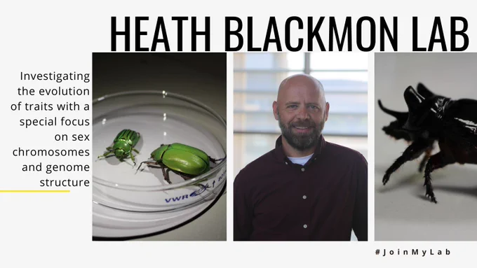 Heath Blackmon Lab: Investigating the evolution of traits with a special focus on sex chromosomes and genome structure
