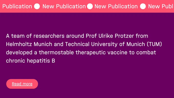 𝗧𝗵𝗲𝗿𝗩𝗮𝗰𝗕 – 𝗮 𝗻𝗲𝘄 𝘁𝗵𝗲𝗿𝗮𝗽𝗲𝘂𝘁𝗶𝗰 𝘃𝗮𝗰𝗰𝗶𝗻𝗲
Therapeutic vaccination is a promising therapeutic option for chronic hepatitis B patients that may allow them to cure chronic hepatitis B. However, the vaccines must be heat-stable, especially in low- and middle-income countries or hard-to-reach areas. A team of researchers around Prof Ulrike Protzer from Helmholtz Munich and Technical University of Munich (TUM) now identified an optimal formulation to maintain the stability of HBV vaccine components. The results are published in the Journal of Hepatology Reports. 
TherVacB will be evaluated in a clinical trial starting in 2023 and conducted in Europe and Africa.

