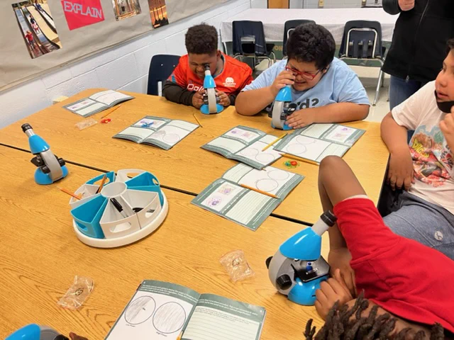 Students view animal or plant cells

