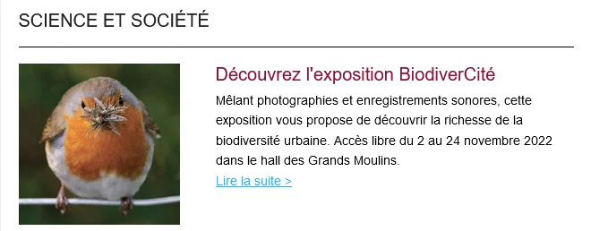Image d'un rouge-gorge au bec rempli d'insectes.  Découvrez l'exposition BiodiverCité
Mêlant photographies et enregistrements sonores, cette exposition vous propose de découvrir la richesse de la biodiversité urbaine. Accès libre du 2 au 24 novembre 2022 dans le hall des Grands Moulins.