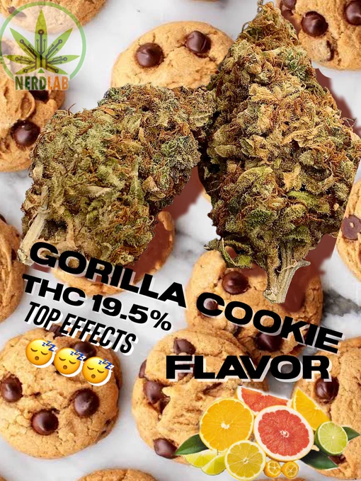 gorilla cookie 280/G
