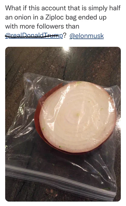 The original half an onion tweet trying to get more followers than Trump with Trump’s name crossed out and Elon Musk’s replacing it.