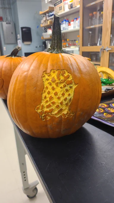 Protein structure of Green Fluorescent Protein (GFP) carved in relief onto the surface of a jack o'lantern.