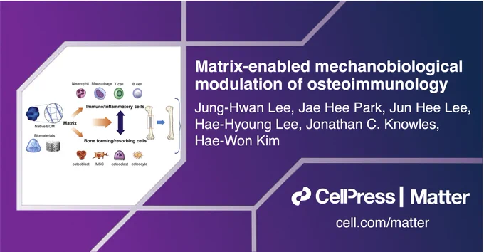 Matrix-enabled mechanobiological modulation of osteoimmunology by Jung-Hwan Lee, Jae Hee Park, Jun Hee Lee, Hae-Hyoung Lee, Jonathan C. Knowles, Hae-Won Kim