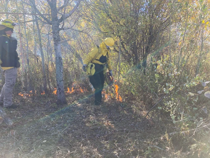 Person in fire protective gear sets fire to a prairie.