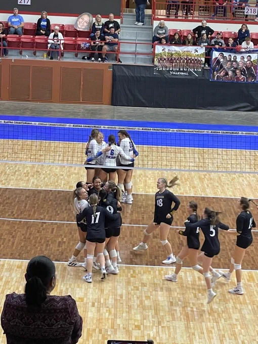 volleyball 