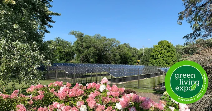 Solar panels behind pretty pink flowers 
