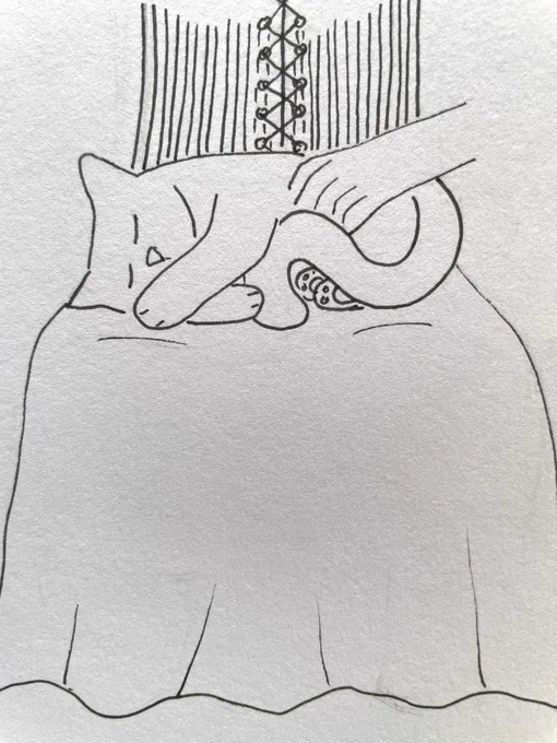 Sketch of a cat asleep in a witches lap