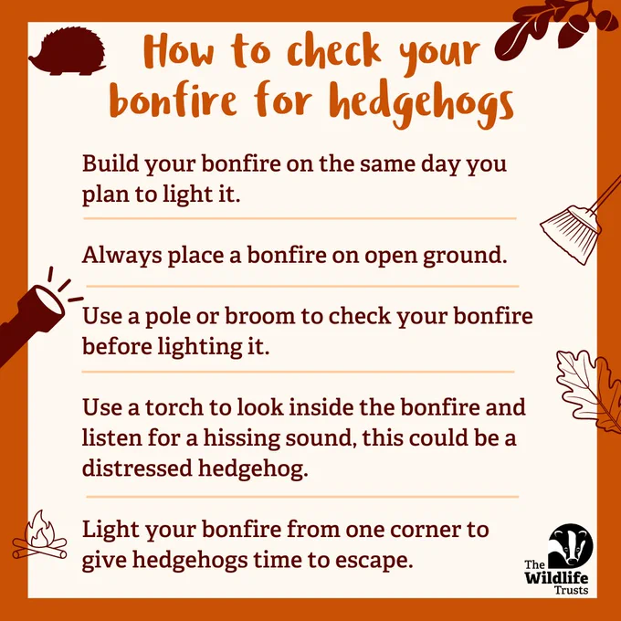 Build your bonfire on the same day you plan to light it.

Always place a bonfire on open ground.
 
Use a pole or broom to check your bonfire before lighting it.

Use a torch to look inside the bonfire and listen for a hissing sound, this could be a distressed hedgehog.

Light your bonfire from one corner to give hedgehogs time to escape.