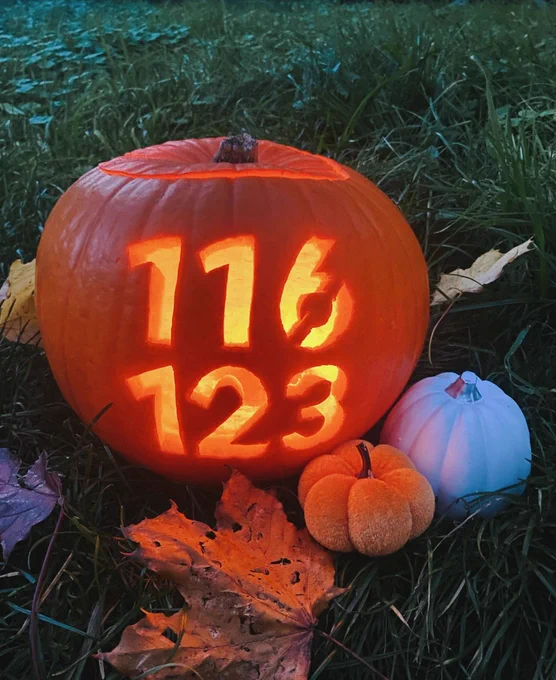 Photograph of a pumpkin, in the grass and fallen autumn leaves, with "116 123" carved into it.