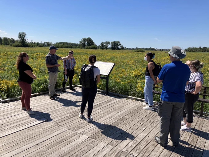 Seven people stand on a wooden platform in a wetland area where yellow flowers bloom.