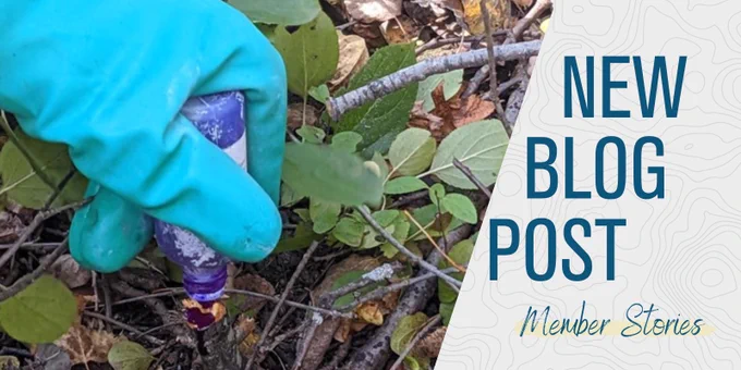 Text: "New Blog post, member stories." and image of hand in glove dabbing a stump with a small bottle.