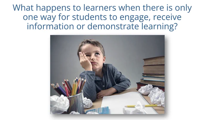 Screenshot of a student frustrated with the words, "What happens to learners when there is only one way for students to engage, receive information or demonstrate learning?"